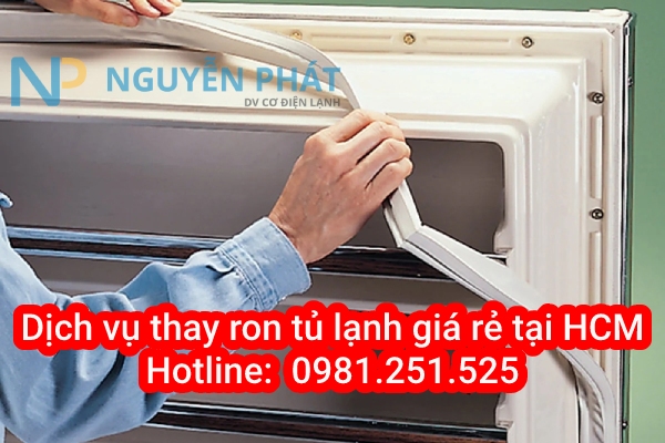 Dịch vụ thay ron tủ lạnh tại Tp. Hồ Chí Minh giá rẻ chất lượng Tại Điện Lạnh Nguyễn Phát